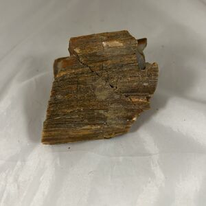 Petrified Wood Specimen Rough 1.36 lbs (21.8 oz) 4x4x2 Natural Fossil Mineral”